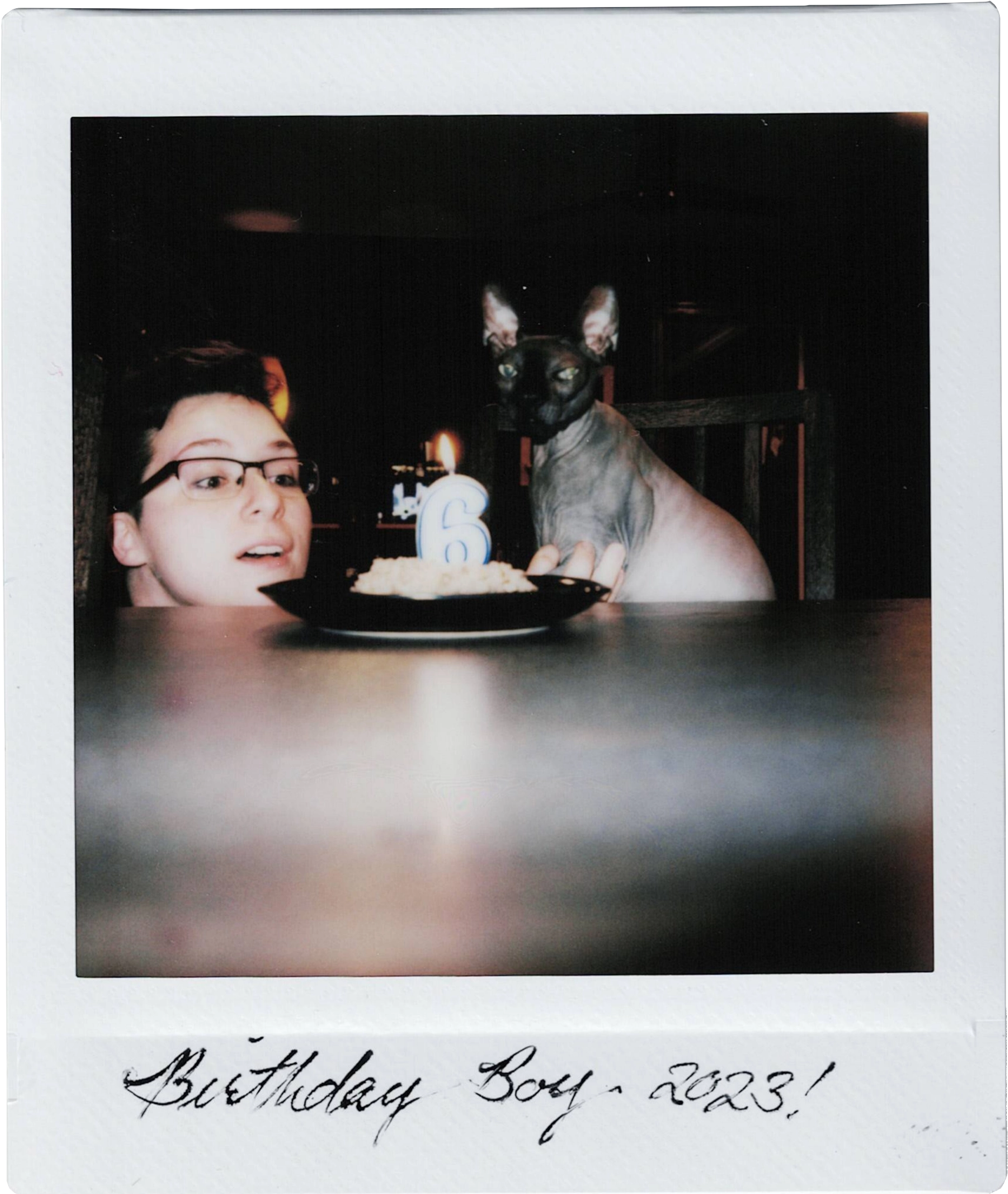 Photo of a hairless cat in front of a bowl of tuna, with a candle shaped like a 6. The photo is labelled 'Birthday Boy - 2023!'