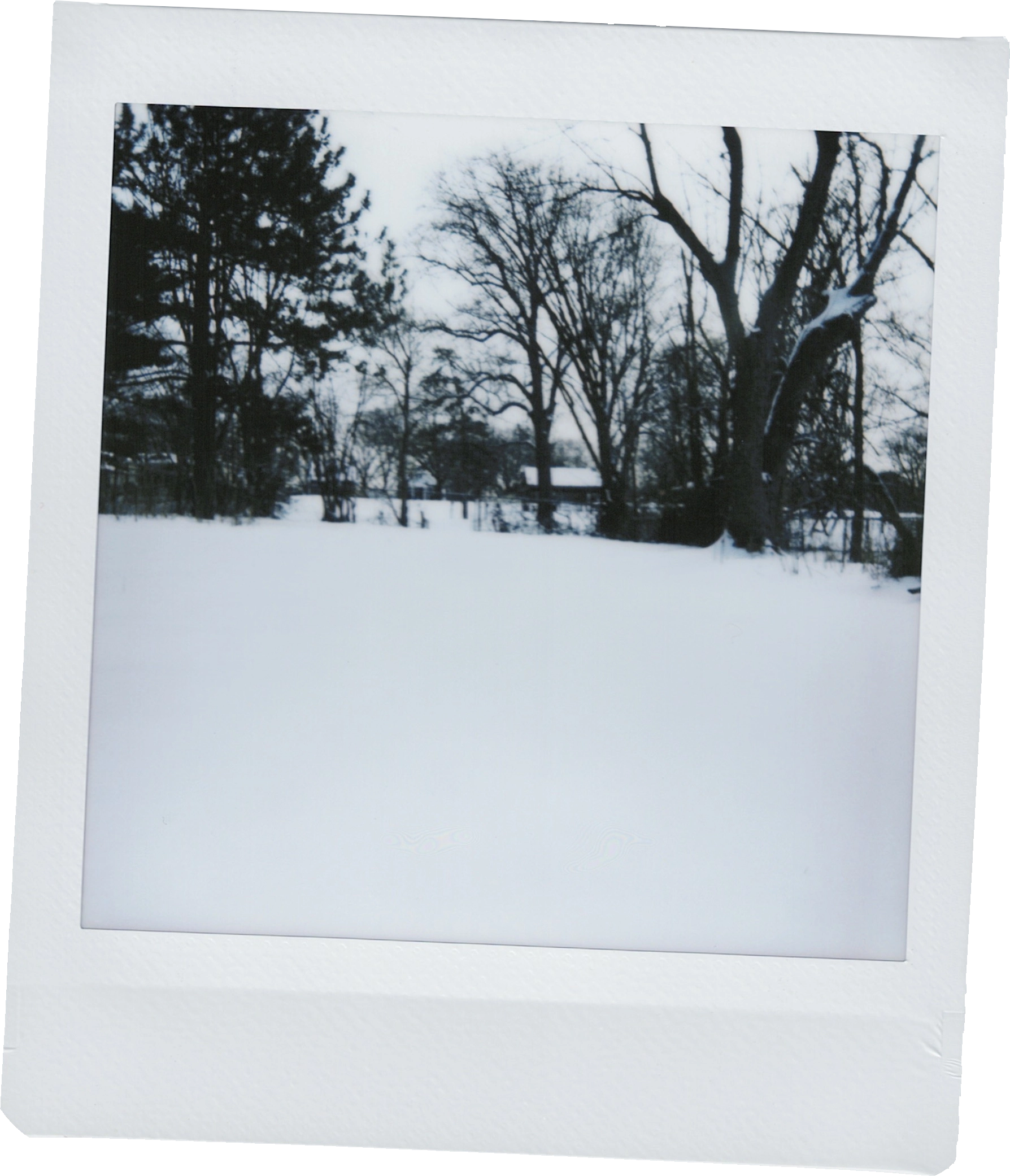 Photo of a snowy yard